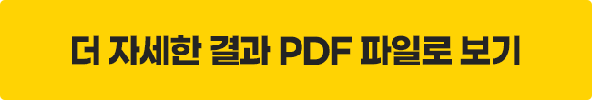 더 자세한 결과 PDF 파일로 보기