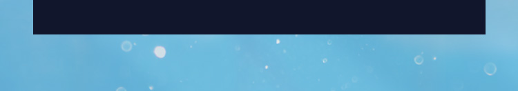 인생내컷