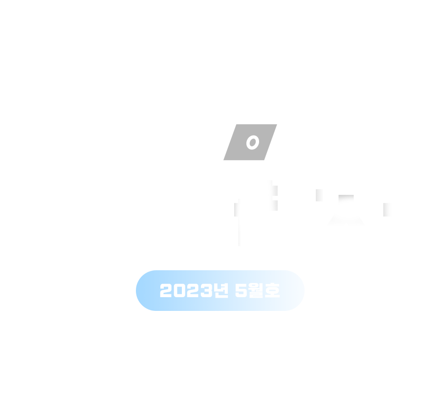 월간 개발자
