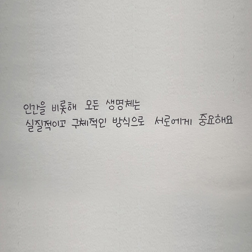 필사 이미지