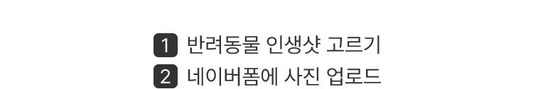 반려동물 인생샷 고르기 → 네이버폼에 사진 업로드