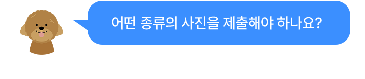 어떤 종류의 사진을 제출해야 하나요?