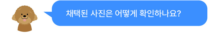 채택된 사진은 어떻게 확인하나요?