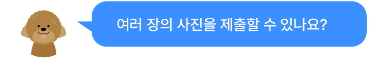 여러 장의 사진을 제출할 수 있나요?