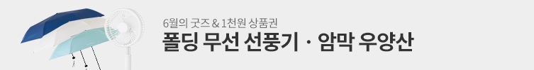 6월의 굿즈 : 폴딩 선풍기