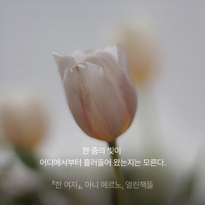 한 줌의 빛이 어디에서부터 흘러들어 왔는지는 모른다.