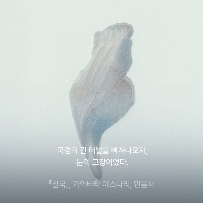 국경의 긴 터널을 빠져나오자, 눈의 고장이었다.