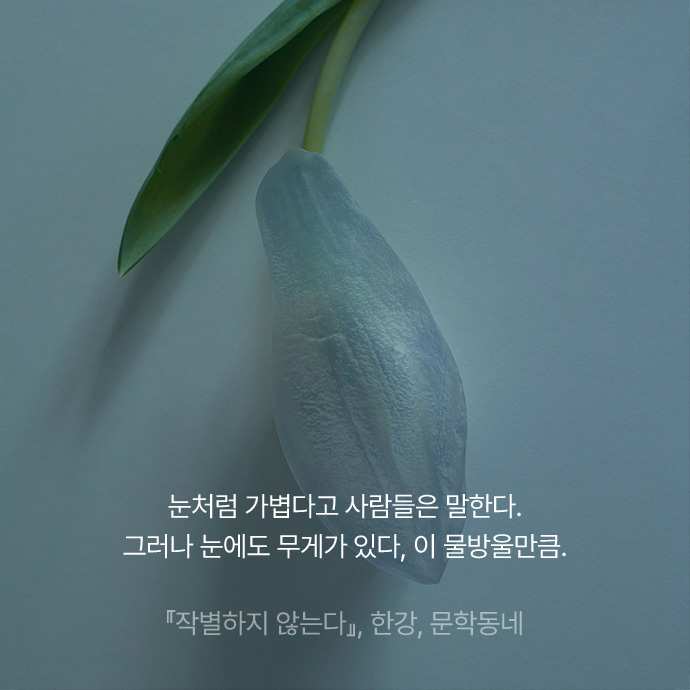 눈처럼 가볍다고 사람들은 말한다. 그러나 눈에도 무게가 있다, 이 물방울만큼