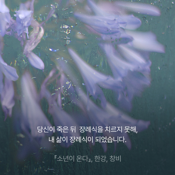 당신이 죽은 뒤 장례식을 치르지 못해, 내 삶이 장례식이 되었습니다.