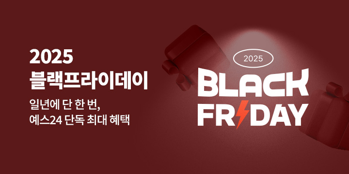 2025 블랙프라이데이