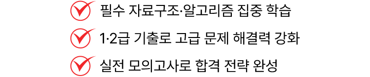 필수 자료구조·알고리즘 집중 학습, 1·2급 기출로 고급 문제 해결력 강화, 실전 모의고사로 합격 전략 완성