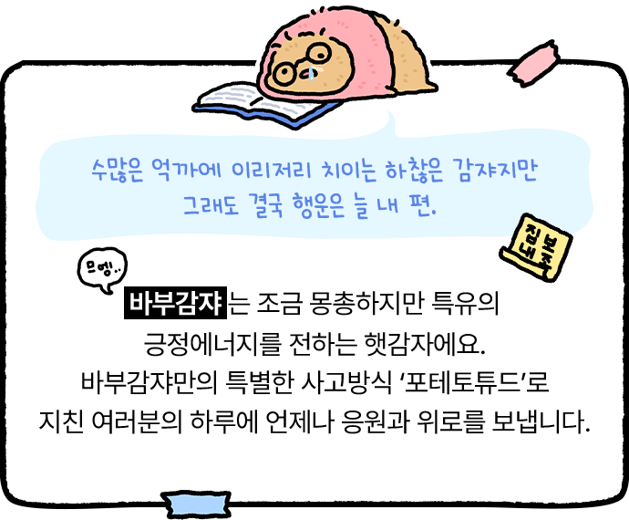 바부감쟈 소개