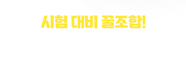시험 대비 꿀조합