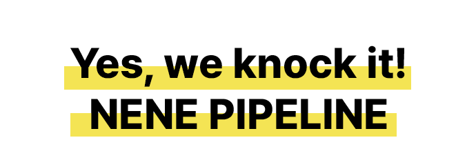 네네의 파이프라인