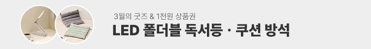 3월의 굿즈 : 독서등 & 쿠션 방석