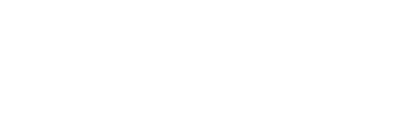 김기태, 김채원, 박선우, 서장원, 성혜령, 위수정, 이미상 일곱 작가가 걷는 이야기의 숲. 빛과 그림자 사이 틈에서,그들이 포착한 것들