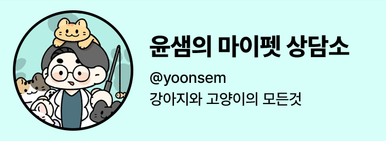 사인본 특별 굿즈