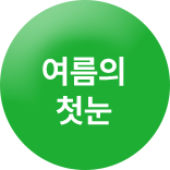 여름의 첫눈
