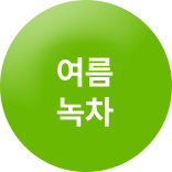 여름 녹차