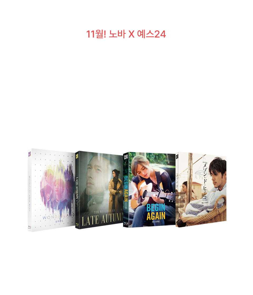 노바미디어 11월