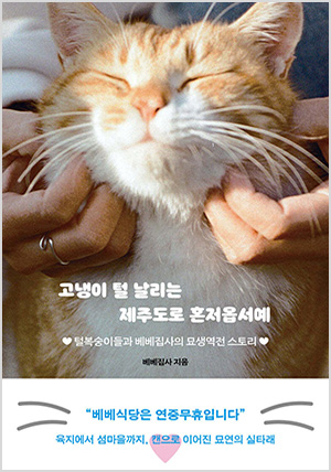 고냉이 털 날리는 제주도로 혼저옵서예