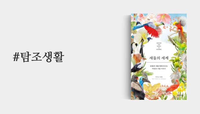 탐조생활