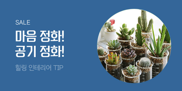 마음 정화! 공기 정화!