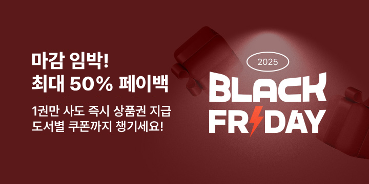 2025 블랙프라이데이