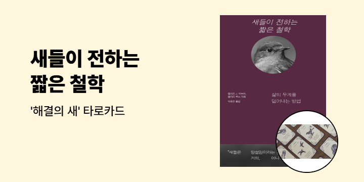 『새들이 전하는 짧은 철학』 출간 기념 - 타로카드