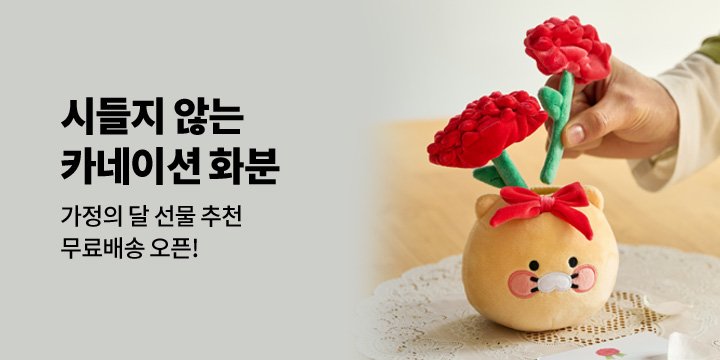 [그래잡화점]시들지 않는 카네이션 어떠세요?