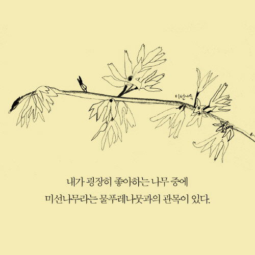 식물그리고사람_이카드009.jpg