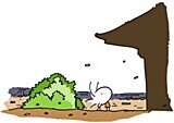 좋은 장소의 매력, 그 매력을 아는 사람에게 조근조근 들으면 더 좋아지지요－『이야기를 따라가는 한옥 여행』