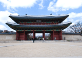 창덕궁 달빛 기행, 이색 나들이 장소로 뜨거운 인기