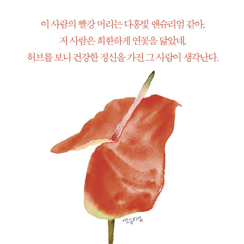 식물그리고사람_이카드004.jpg