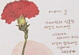 그림으로 간직하고 싶었던…… 솔나리 카네이션