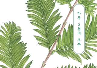 [편집자의 기획] 도심 속 리틀 포레스트 - 『하루 5분의 초록』