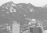 신도시 분양받을 때 생각해야 할 점