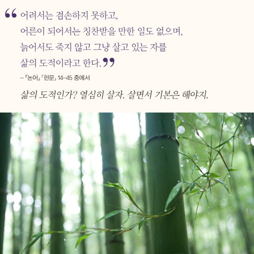 공자 카드 뉴스08.jpg