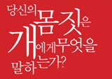 [금주의 책] 인류 절친, 개를 이해하는 데 꼭 필요한 책