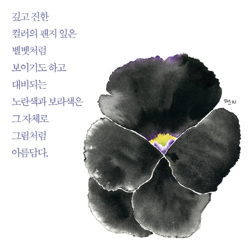 식물그리고사람_이카드014.jpg