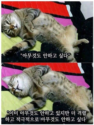 이미지.jpg