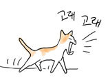 고양이는 완전 깬다! 