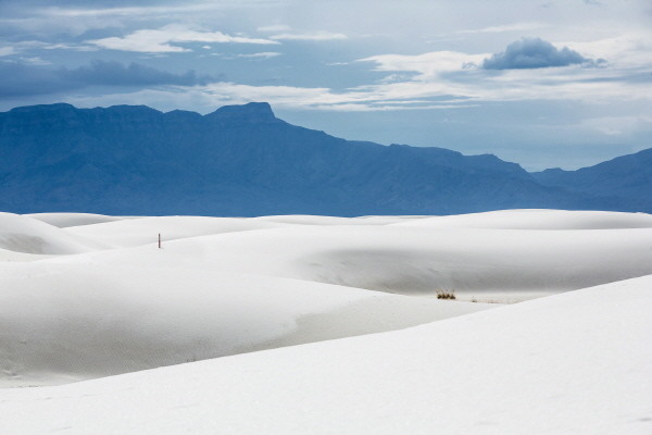 white-sands-(439).jpg