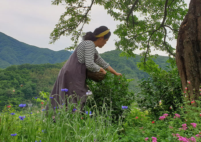 지리산 속 어느 작은 민박집 이야기