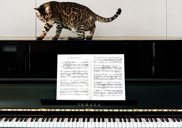 [요즘 독서 생활 탐구] 프란츠 김동연, 관객과 독자의 경계를 허물며