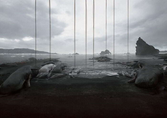 [최현우 칼럼] 우리는 좌초되지 않는다