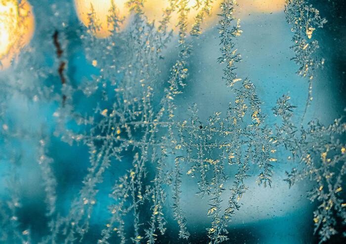 [큐레이션] 너무 차가운 것에도 델 수 있지, 겨울 시집