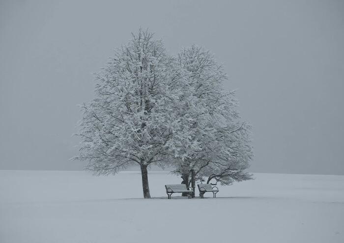 [나이듦을 읽다] 인생의 겨울을 받아들이고 견디는 법