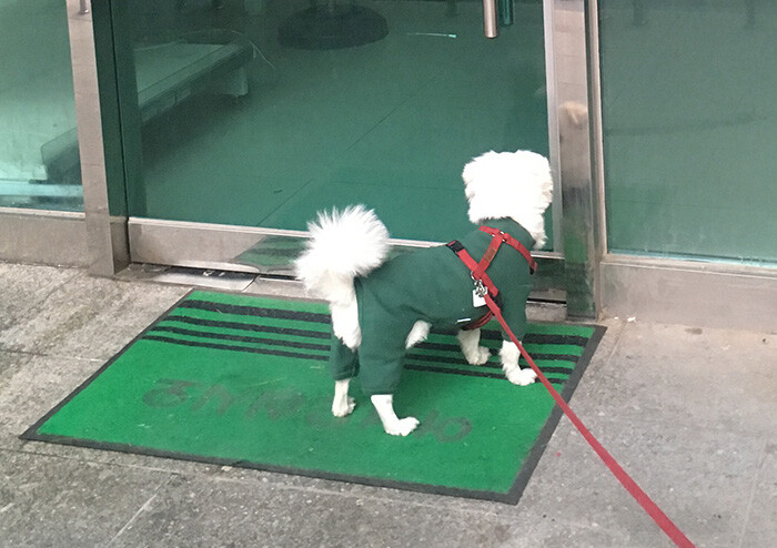 [김혜리 칼럼] 이웃