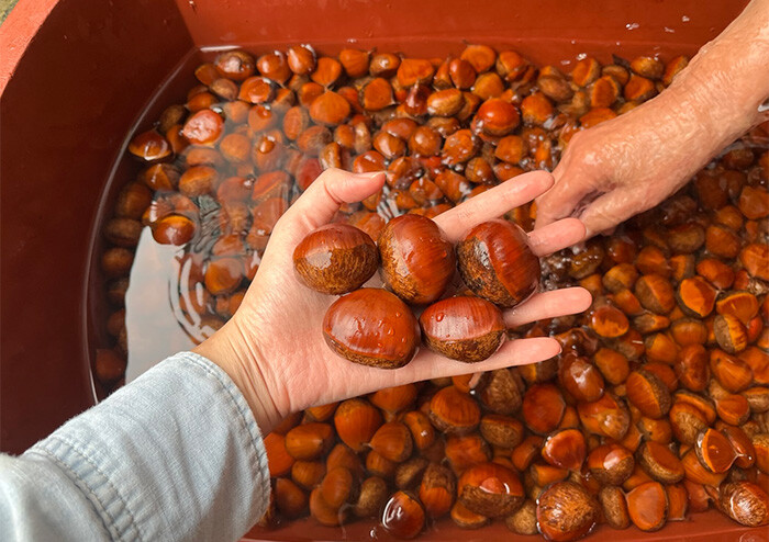 [정기현 칼럼] 낡은 트럭과의 영원한 추격전